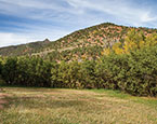 Snowmass Creek wooded lot 